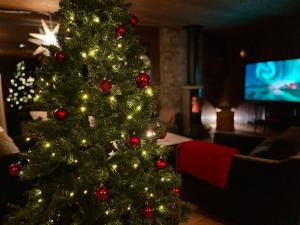 ein Weihnachtsbaum mit Schmuck im Wohnzimmer in der Unterkunft Christmas-decorated mountain cabin - panoramic view! in Torvetjørn