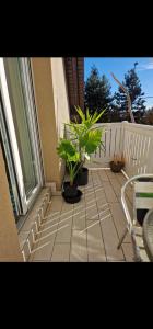 En balkon eller terrasse på Apt Lublana