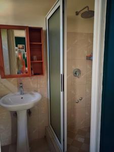 イニャンバネにあるHotel Bom Amigoの洗面台とシャワー付きのバスルーム +6枚の写真