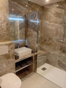 a bathroom with a shower with a sink and a toilet at Le parc d'eden in Villeneuve-sous-Dammartin