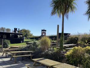 a group of picnic tables in a park with a palm tree at The Eelsfoot inn in Theberton