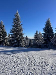a field covered in snow with trees in the background at Apartmán pod sjezdovkou Lysá Hora Horní náměstí Ski Lumi in Rokytno