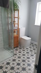 uma casa de banho com um chuveiro e um WC. em The Cube at No. 21. Modern & Stylish getaway. em Ilfracombe