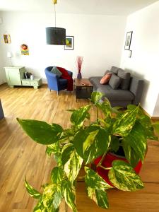 Χώρος καθιστικού στο Kapellenblick! geräumiges Apartment +21 φωτογραφίες