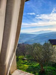 Phong cảnh thiên nhiên gần nhà nghỉ B&B