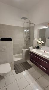 拉加尔德Logement de charme les Araucarias的带淋浴、马桶和水槽的浴室 更多12张照片