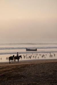 Φωτογραφία από το άλμπουμ του YMY Beach House στο Αγκαντίρ