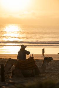 Φωτογραφία από το άλμπουμ του YMY Beach House στο Αγκαντίρ