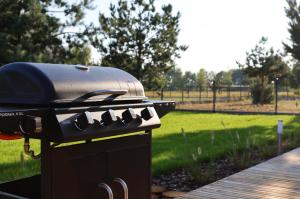 a barbecue grill sitting on a sidewalk in a park at Silva SPA in Goszczyce Średnie