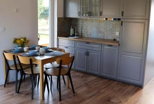 Η κουζίνα ή μικρή κουζίνα στο Silva SPA