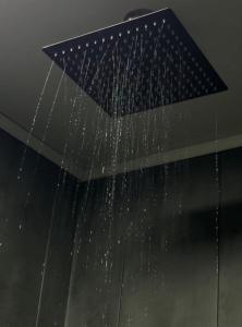 Φωτογραφία από το άλμπουμ του Forest House 