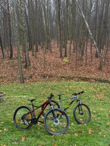 Ποδηλασία στο Forest House ή στη γύρω περιοχή +12 φωτογραφίες