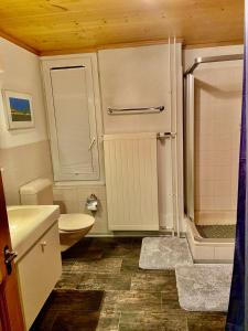 a bathroom with a toilet and a shower at Parterre-Wohnung im Zentrum in Gstaad +4 photos
