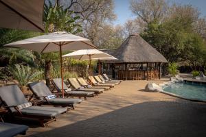 Πισίνα στο ή κοντά στο Karongwe- Shiduli Safari Lodge