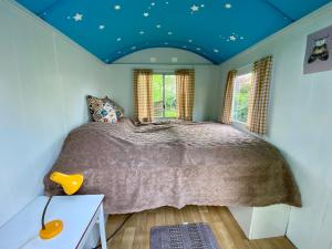 a bedroom with a bed with a blue ceiling at Kleine Pipowagen BuitenWedde in Wedde