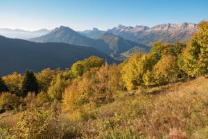 Příroda nedaleko apartmánu