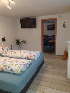 Μια τηλεόραση ή/και κέντρο ψυχαγωγίας στο Ferienwohnung Palm