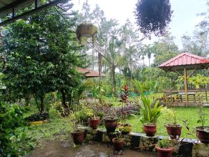Κήπος έξω από το Manna Homestay coorg +11 φωτογραφίες