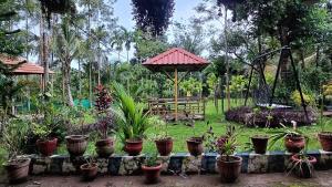 Κήπος έξω από το Manna Homestay coorg