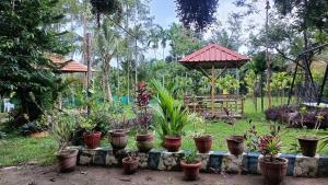 a garden with a bunch of potted plants at Manna Homestay coorg in Kushālnagar