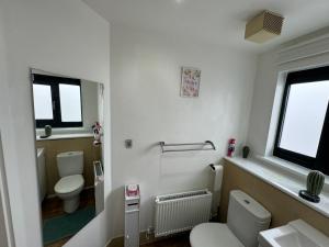 a bathroom with a toilet and a sink at WindyS Smart Home, you will love it in Basildon +27 photos