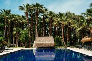 Πισίνα στο ή κοντά στο Layla Gocek Adults only