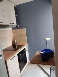 Kuchyň nebo kuchyňský kout v ubytování La p'tite maison