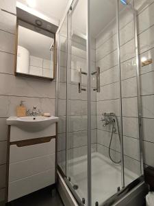 モクラ・ゴラにあるApartman Gorska priča, Mokra Goraのシャワーと洗面台付きのバスルーム