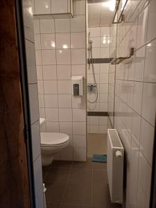 a small bathroom with a toilet and a shower at Poëziehotel Surplace in Bever +44 photos