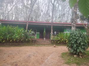 Zahrada ubytování Green wayanad homestay