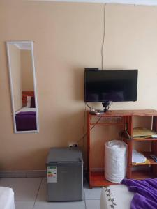 TV a/nebo společenská místnost v ubytování Salvie Geust Inn + 5 fotografií