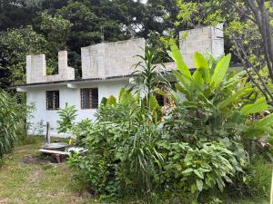 uma casa branca no meio de uma floresta em Tanna fireworks homestay em Loméméti