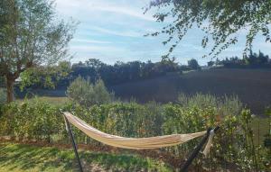 Serra deʼ ContiNice Home In Serra Dè Conti With Wifi的花园里的吊床，背景是一片田野
