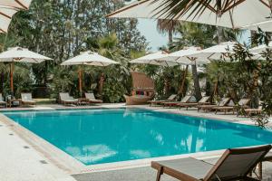 una piscina con sedie e ombrelloni di Averde Residence a Larnaka