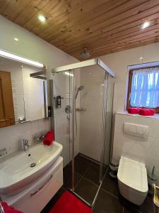 Ένα μπάνιο στο Ferienwohnungen Haid +41 φωτογραφίες