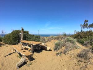 Příroda nedaleko prázdninového domu + 33 fotografií