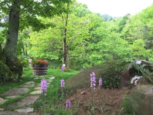 Zahrada ubytování Huge Holiday Home in Marina di Castagneto Carducci near Sea