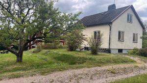 Κήπος έξω από το Lily