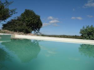 a blue swimming pool with trees in the background at Cabañas Ojos del Viento in Villa Giardino +15 photos