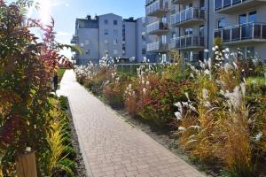 En have udenfor Osiedle złota reneta