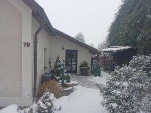 a house with christmas trees in the snow at Family apartment Vysočina SKI plus BIATLON in Nové Město na Moravě