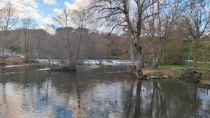 un fiume in un parco con alberi e acqua di La tête dans les étoiles a Ruffec