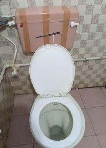 a bathroom with a white toilet with a pink tank at Hotel Nirmalai Palace Mahur in Māhūr