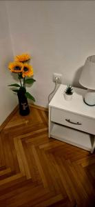 Φωτογραφία από το άλμπουμ του SmartStar στο Σπλιτ +15 φωτογραφίες