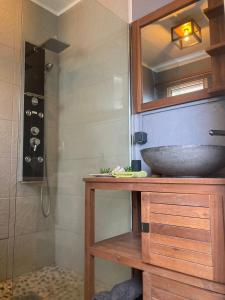 Un baño con lavabo y ducha en Ti Kaz Bananier, en Saint-Gilles-les Hauts