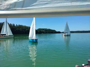 Příroda nedaleko penzionu