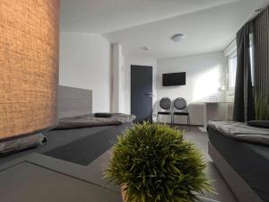 un soggiorno con due letti e una pianta in vaso di Monteurhaus in Hemer - Gemeinschaftsnutzung Küche und Bad a Hemer