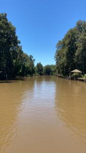 蒂格雷Isla El Plebeyo的一大片水,有树在背后