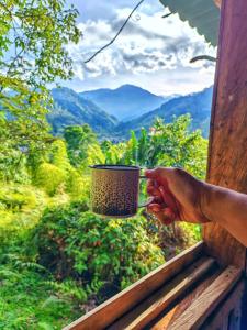 eine Person, die vor einem Fenster eine Kaffeetasse hält in der Unterkunft Casa Del Árbol Mirolindo Pijao Quindío in Pijao