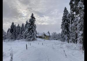 Kurešček om vinteren